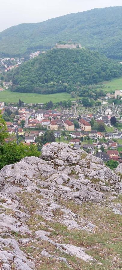 Apartman Fabrik Hainburg an der Donau Dış mekan fotoğraf